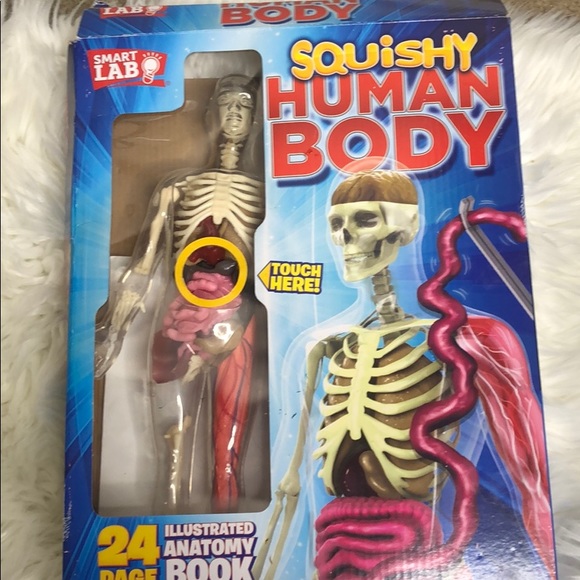 ☀︎︎<{𝚂𝚚𝚞𝚒𝚜𝚑𝚢 𝙷𝚞𝚖𝚊𝚗 𝙱𝚘𝚍𝚢}>☀︎︎ - Picture 2 of 5